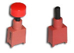 BSP Switches